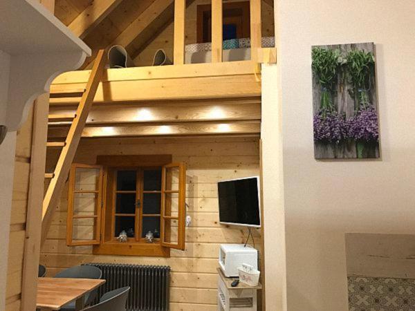 Ferienwohnung u mistra vichra Černý Důl Exterior foto